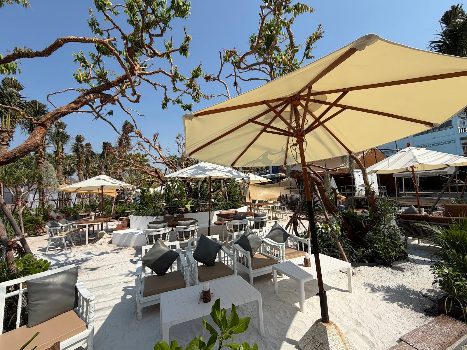 Folks On The Beach — Eat & Drink in Pattaya, Pattaya