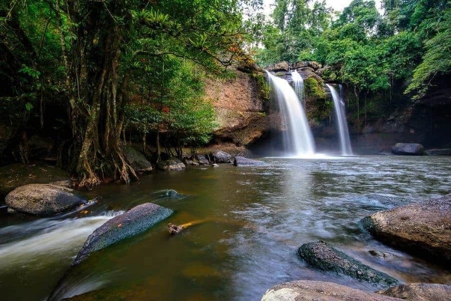 Khao Yai National Park — Road Trips in Khao Yai, Pattaya