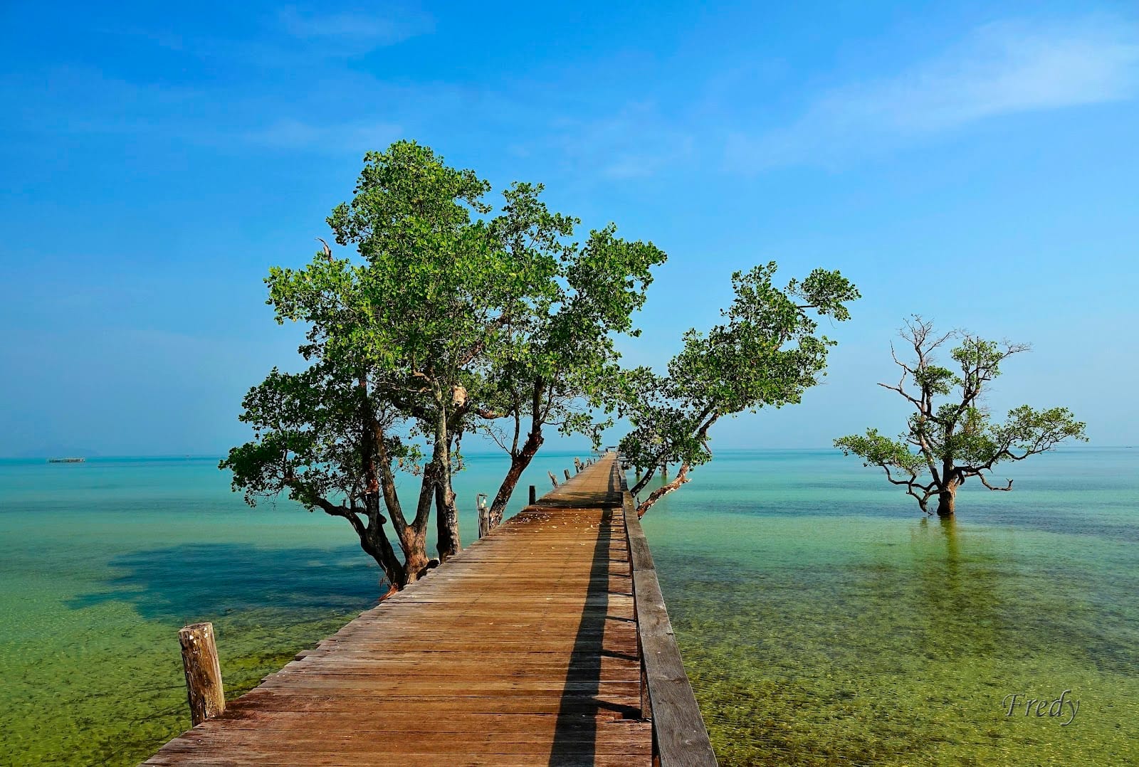 Ko Mak — Road Trips in Trat, Pattaya