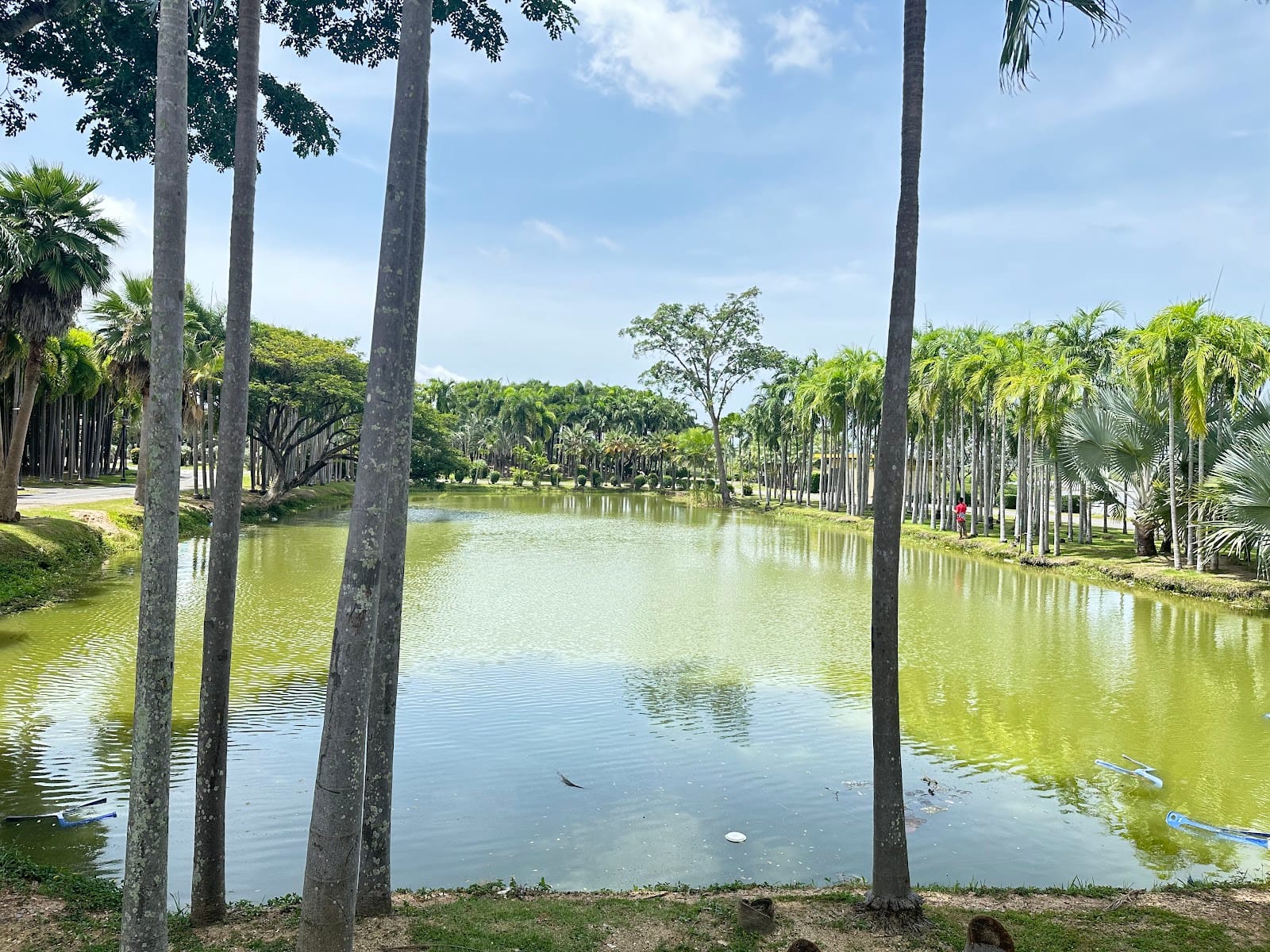 Mabprachan Lake — Activities in Pong, Pattaya