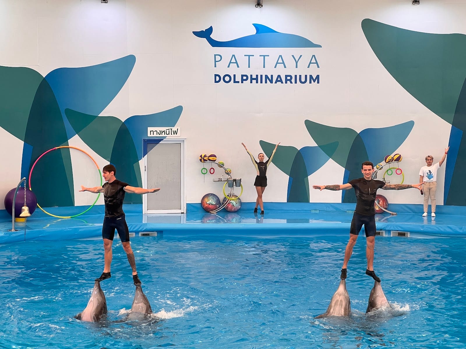 Pattaya Dolphinarium — Family & Kids in Pattaya, Pattaya