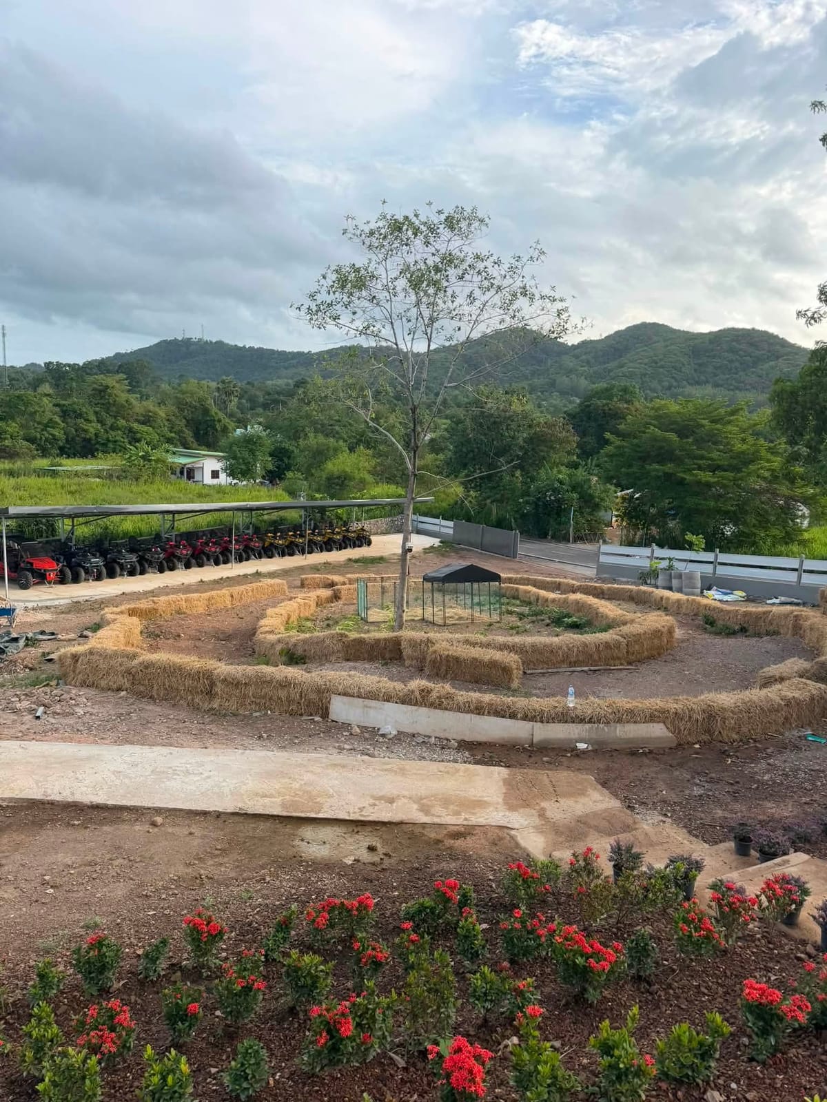 Pattaya Jungle ATV Ride — Activities in Bang Sare, Pattaya