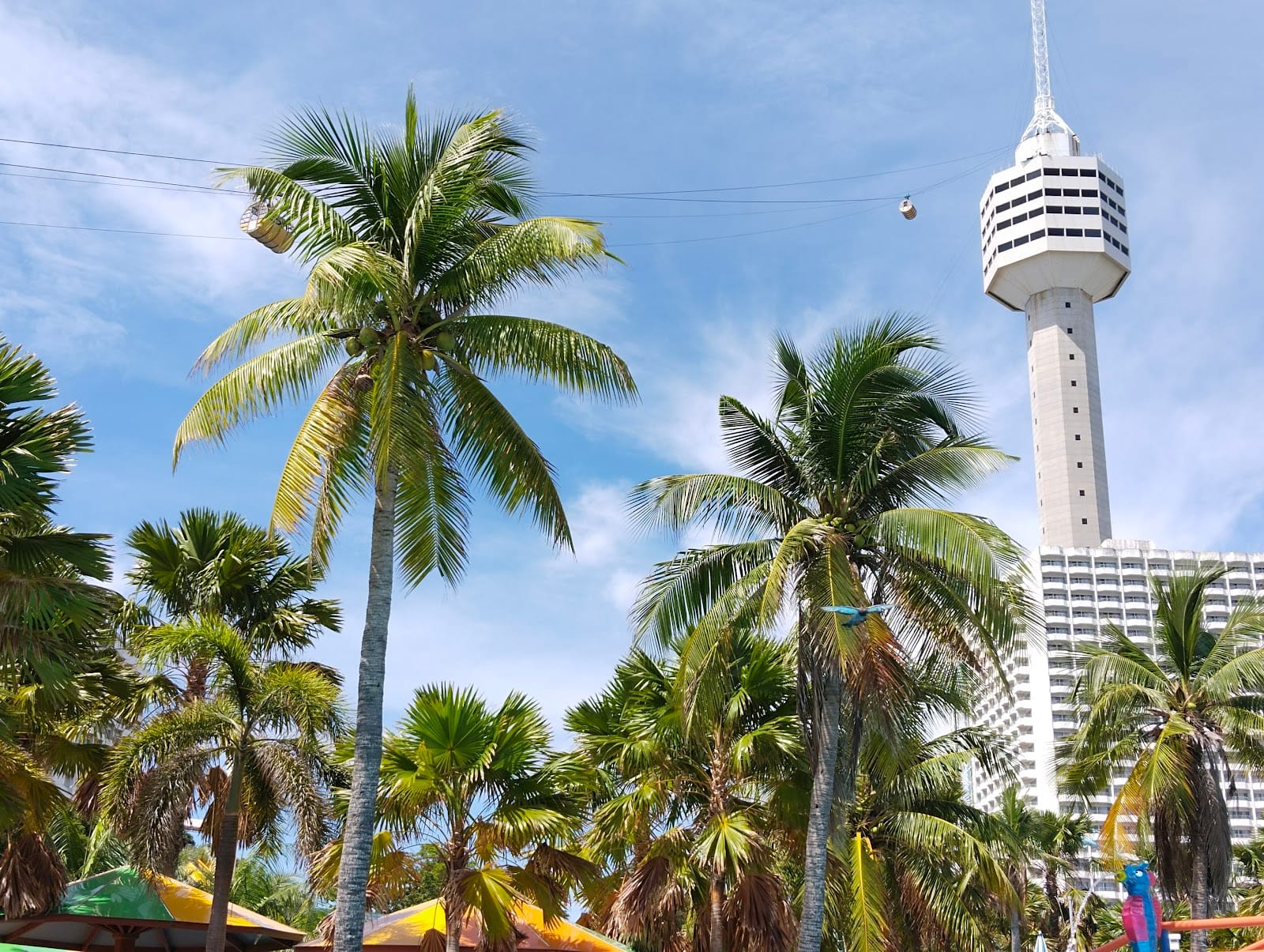 Pattaya Water Park — Family & Kids in Pattaya, Pattaya