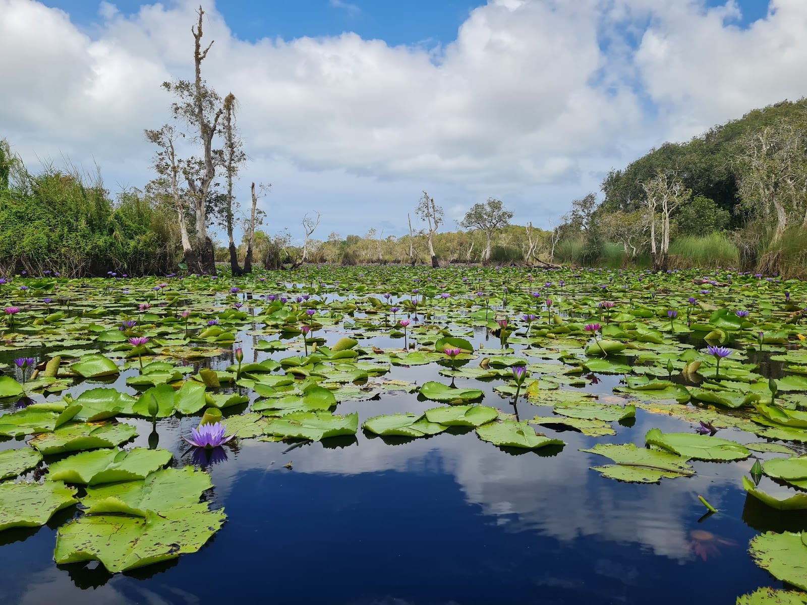 Rayong Botanical Garden — Day Trips in Chakphong, Pattaya