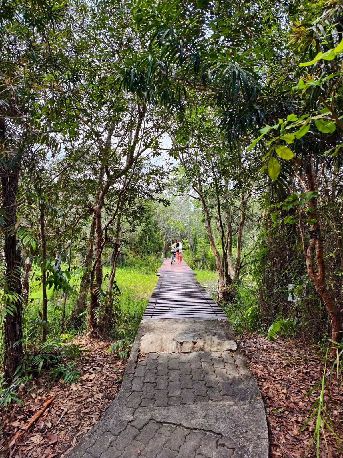 Rayong Botanical Garden — Day Trips in Chakphong, Pattaya
