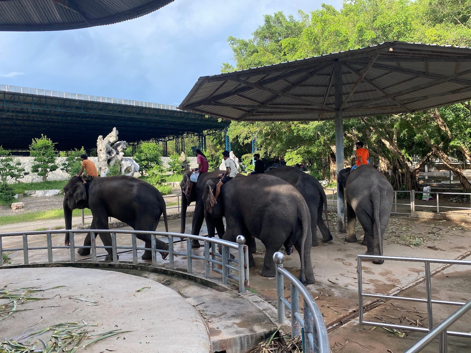 The Million Years Stone Park & Pattaya Crocodile Farm — Family & Kids in Nong Pla Lai, Pattaya