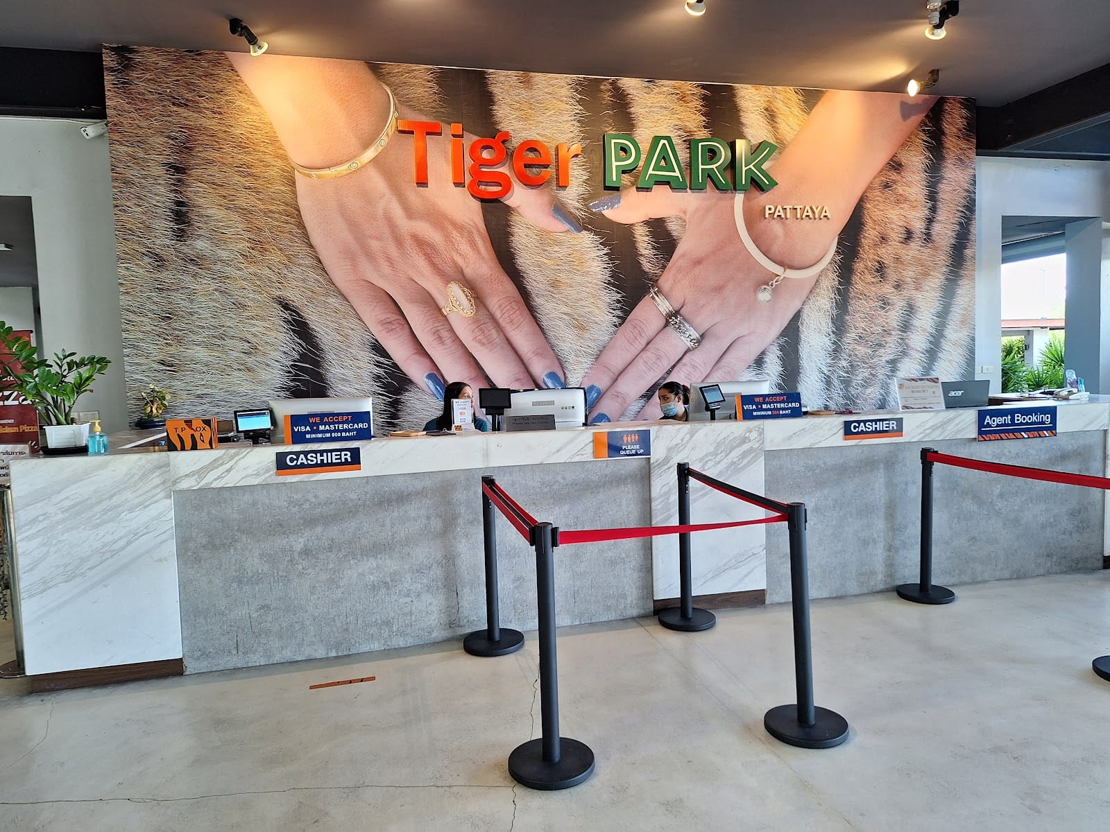 Tiger Park Pattaya — Activities in Pattaya, Pattaya