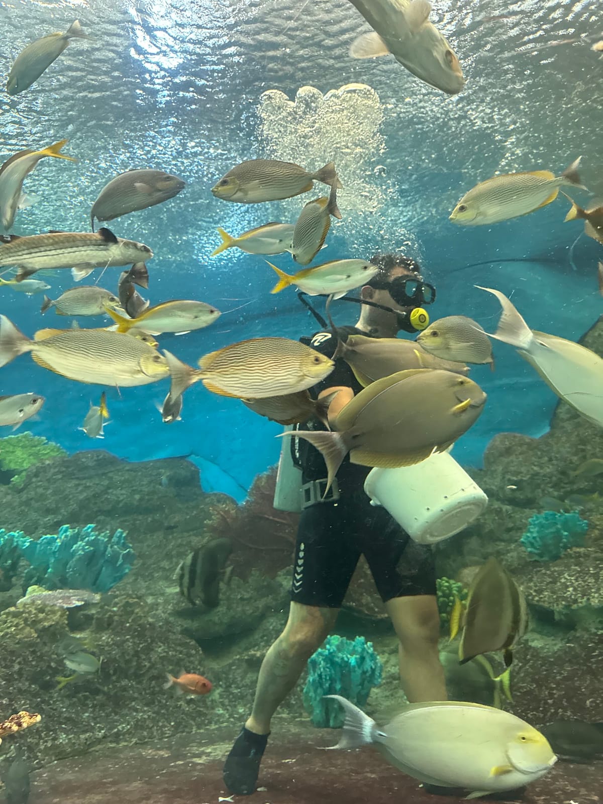 Underwater World Pattaya